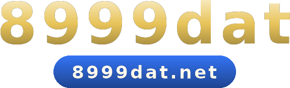 8999dat logo
